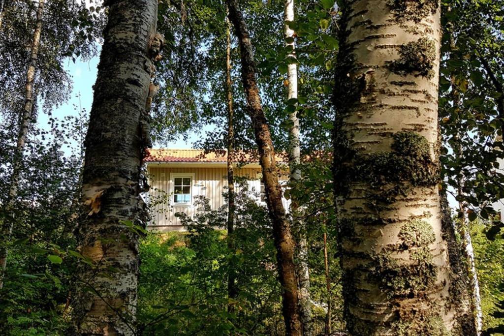 Nybyggd Stuga Intill Skogsbrynet - New Built Cottage Next To The Cowberry Forest Мора Экстерьер фото