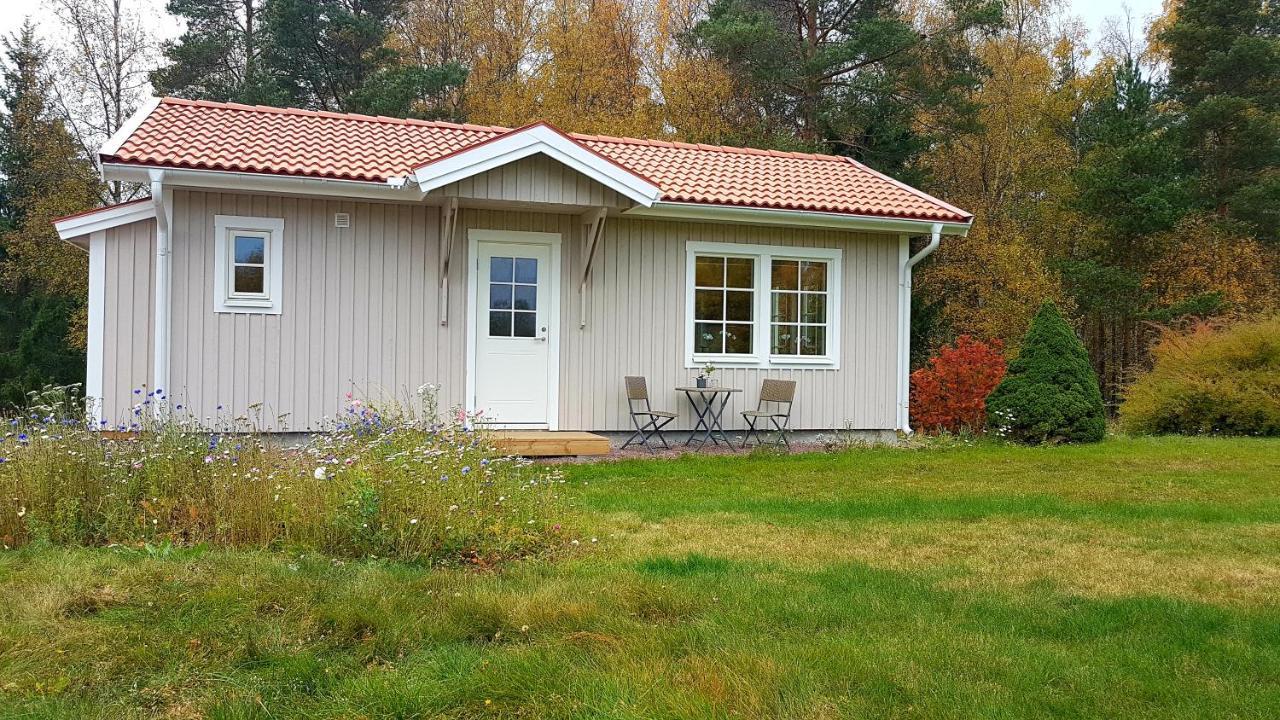 Nybyggd Stuga Intill Skogsbrynet - New Built Cottage Next To The Cowberry Forest Мора Экстерьер фото